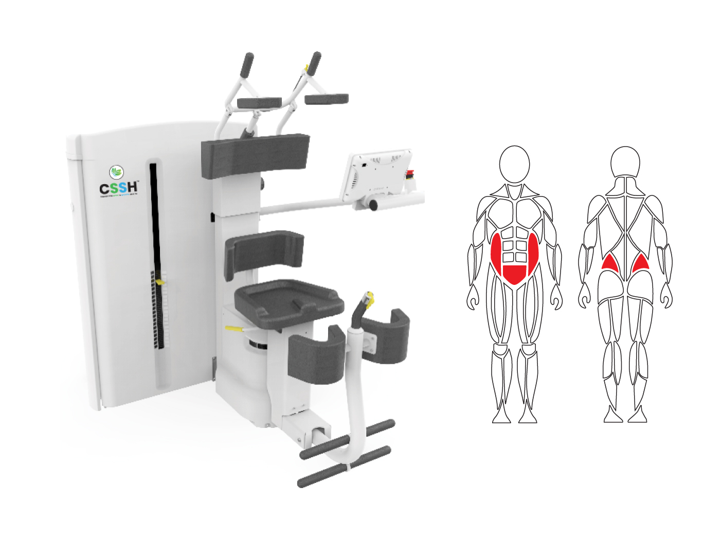 Torso Rotation Reference Our Technology - Advanced Spine & Sports Technology
