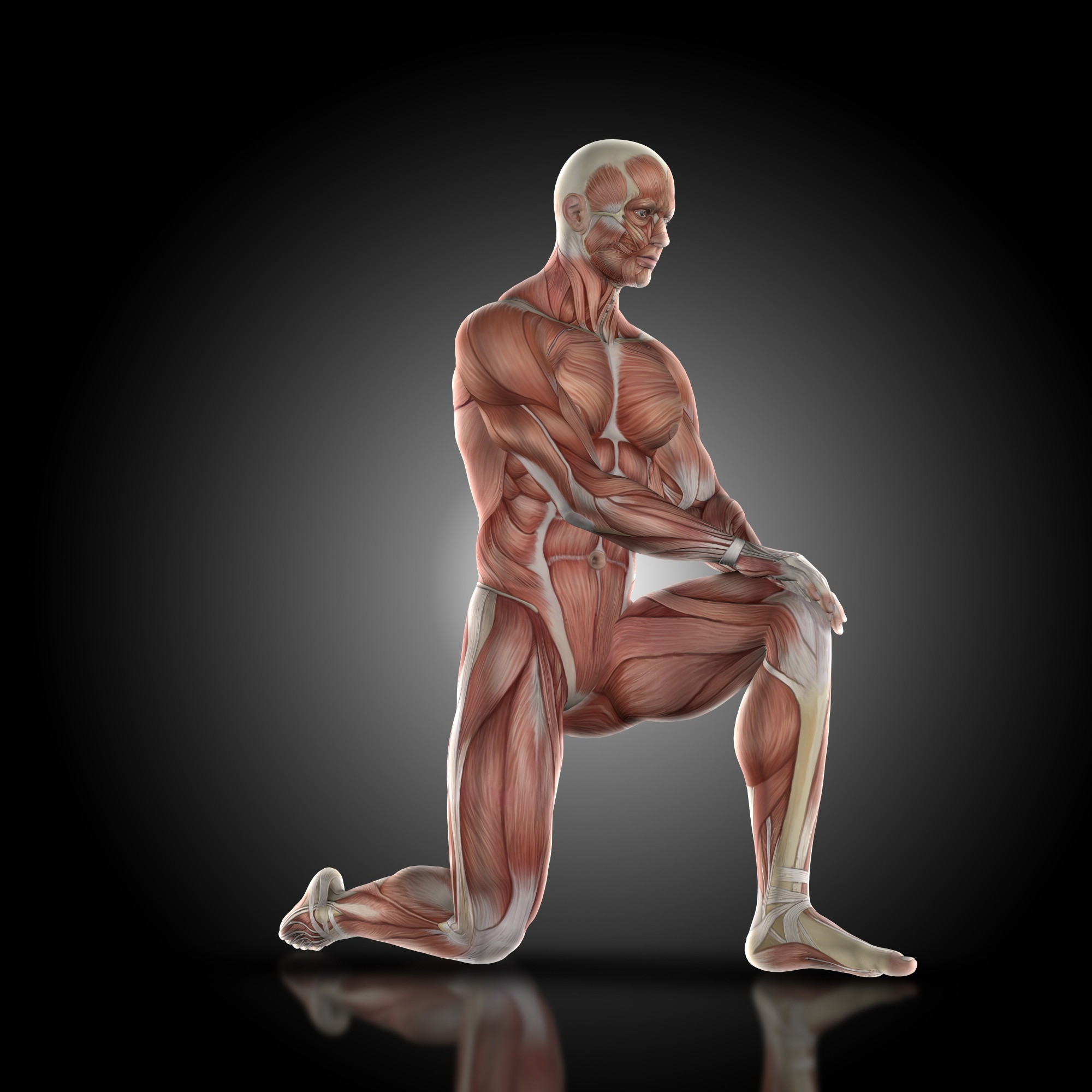 Build Core Muscle Strength